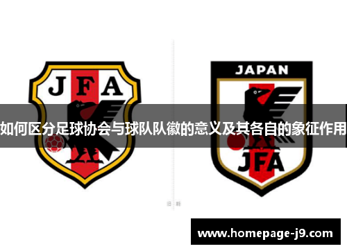 如何区分足球协会与球队队徽的意义及其各自的象征作用
