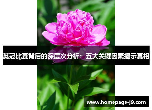 英冠比赛背后的深层次分析：五大关键因素揭示真相